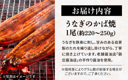 うなぎかば焼[AQCU003] 鰻