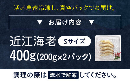 近江海老 400g(Sサイズ)[AQBA008]えび 近江海老 エビ