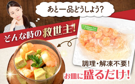 【マリネ食べ比べセット】サーモン×えび 2種×各250g 計500gセット[AQAJ068]