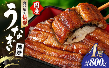 【 蒲焼き 】国産活うなぎ4尾[AQDF009]  蒲焼き