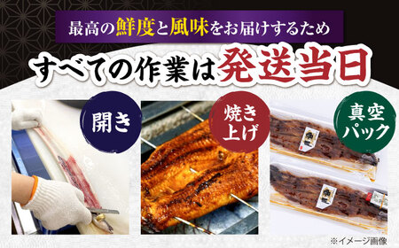 【年内発送】【 蒲焼き 】国産活うなぎ1尾[AQDF006]蒲焼き