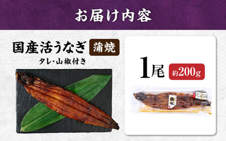 【年内発送】【 蒲焼き 】国産活うなぎ1尾[AQDF006]蒲焼き