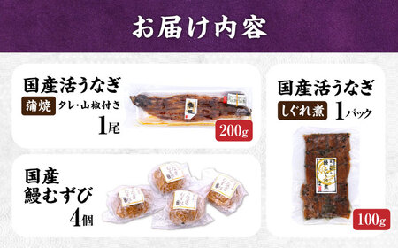 うなぎ満足セット[AQDF017] 鰻 しぐれ煮 佃煮 国産 おむすび 鰻 おにぎり 活うなぎ セット