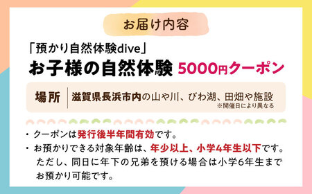 お子様の自然体験5000円クーポン「預かり自然体験dive」[AQAA003] 体験 子ども体験 自然
