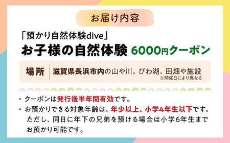 お子様の自然体験6000円クーポン「預かり自然体験dive」[AQAA004] 体験 子ども体験 自然
