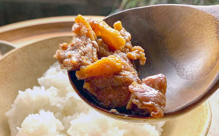 【冷凍】合鴨テリヤキ丼の素×6パック [AQCB017] テリヤキ丼