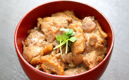 【冷凍】合鴨テリヤキ丼の素×12パック [AQCB018] テリヤキ丼