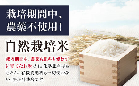 自然栽培米 滋賀旭 10kg 玄米 [AQCP041]玄米