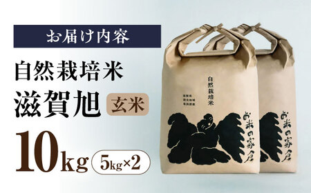自然栽培米 滋賀旭 10kg 玄米 [AQCP041]玄米