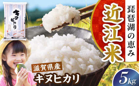 【スピード発送】【令和7年産新米】キヌヒカリ 5kg 白米 [AQDH003] きぬひかり 白米