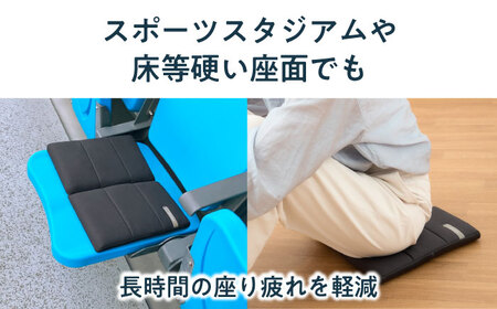 エアウィーヴ キャリークッション mini[AQBV177] エアウィーヴ 新商品