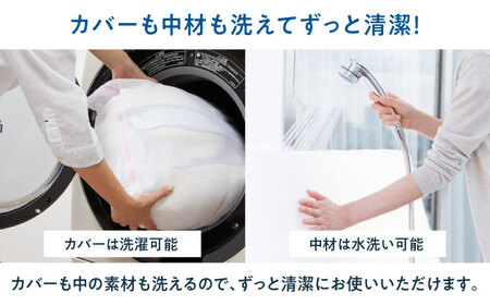 エアウィーヴ キャリークッション mini[AQBV177] エアウィーヴ 新商品