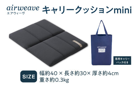 エアウィーヴ キャリークッション mini[AQBV177] エアウィーヴ 新商品