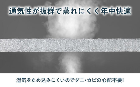 エアウィーヴ スマートZ01 特別仕様[AQBV178] エアウィーヴ