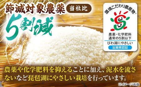 【令和7年産新米】＼スピード発送／ コシヒカリ 5kg [AQDK001] 白米 こしひかり