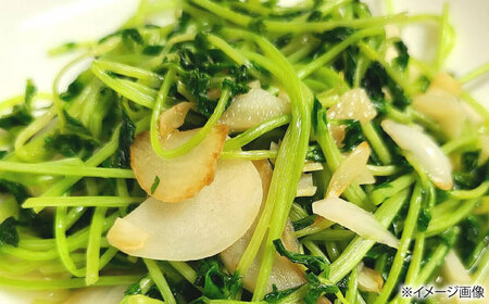 にんにく 冷凍皮むきにんにく 150g×5 [AQBT007]