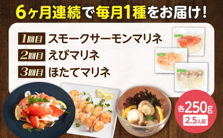 【全6回定期便】毎月異なる種類が届く♪マリネ250g [AQAJ094] マリネ