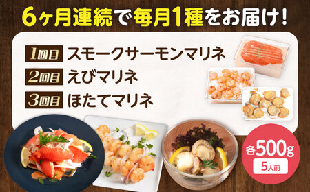 【全6回定期便】毎月異なる種類が届く♪マリネ500g [AQAJ095] マリネ