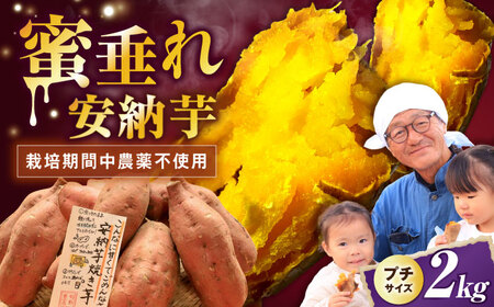 さつまいも【熟成】プチサイズ安納芋 2kg [AQCF001] サツマイモ