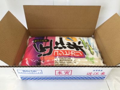 新米 令和7年産 こしひかり 5kg 白米 【T019W2】 近江米 ご飯 精米 コシヒカリ 新米