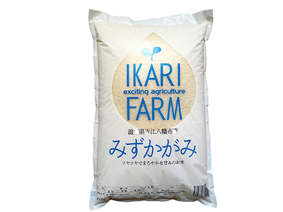 新米 令和7年産 みずかがみ 白米 5kg 冷めても美味しい あっさりとした味わい 【C014W】 近江米 新米