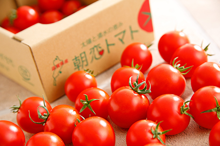 朝恋トマト(ミディトマト) 1kg×3箱