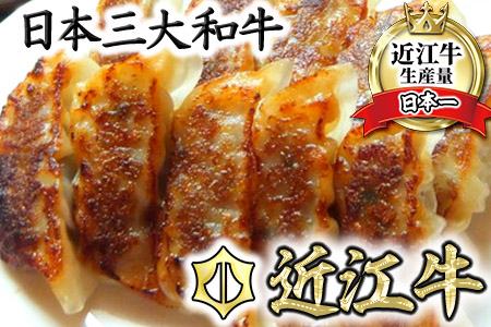 近江牛餃子 【64ヶ(32ヶ×2パック)】【N007SM】