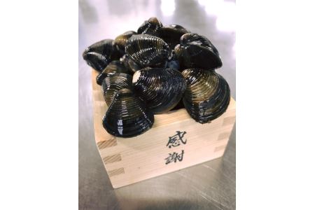 琵琶湖に感謝 沸騰ブラドン 滋味香る 琵琶湖産 3 パック 天然瀬田シジミ D018sm 琵琶湖に感謝 沸騰ブラドン 滋味香る 琵琶湖産 3 パック 天然瀬田シジミ D018sm