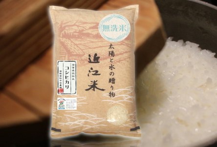 新米】【5年産】近江米 環境こだわり栽培 コシヒカリ 無洗米 【10kg×1