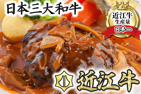 近江牛ハンバーグ【16ヶ(120g×16ヶ)】(デミグラスソース入り)【N010SM】