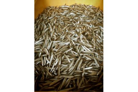 滋賀県産 鮎 琵琶湖産 わかさぎ 一夜干しセット【D007W】