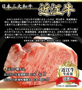 【4等級以上】厳選 近江牛 リブロースステーキ 【500ｇ（250g × 2枚）】【BS04SM】