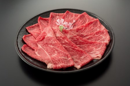近江牛 二種 セット 1kg (赤身スライス500g 切り落とし500g)  【AC13W】 近江牛 牛肉 切り落とし スライス