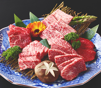 近江牛 食べつくし 定期便 6回 焼肉 すきしゃぶ ステーキ 【FO17W】 【 近江牛 】 牛肉