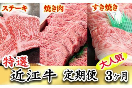 令和6年12月31日までの期間限定極上近江牛500g　食べ方色々！　アソート定期便【ZZ36U】