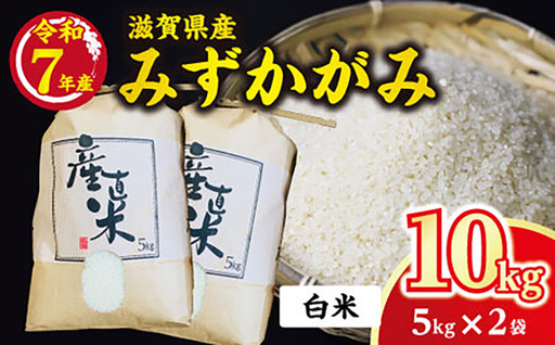 令和7年産 近江米 みずかがみ 10kg ( 5kg × 2袋 ) 環境こだわり米【AB61W】 白米