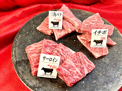 【定期便】 2か月 に 1回 特撰 近江牛 定期便 焼肉 3種 食べ比べ セット 全6回 【FO45W】【 近江牛 】 牛肉