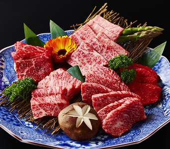 【定期便】 2か月 に 1回 特撰 近江牛 定期便 焼肉 3種 食べ比べ セット 全6回 【FO45W】【 近江牛 】 牛肉