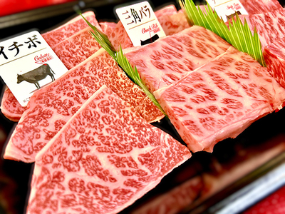 【定期便】 2か月 に 1回 特撰 近江牛 定期便 焼肉 3種 食べ比べ セット 全6回 【FO45W】【 近江牛 】 牛肉