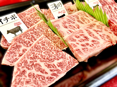 【定期便】２か月に１回 特撰 近江牛 定期便 焼肉 3種 食べ比べ セット 全6回 【FO48W】【 近江牛 】 牛肉