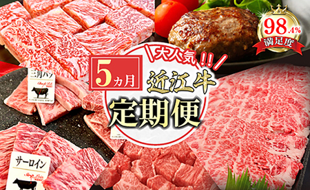 【定期便】近江牛 定期便 焼肉 ハンバーグ サイコロステーキ すき焼き 【FO50W】【 近江牛 】 牛肉