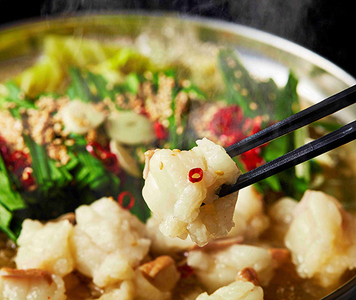 【定期便】 定期便 ホルモン屋が作った 本気の もつ鍋 セット 塩味 全3回 【FO56W】 ホルモン もつ鍋