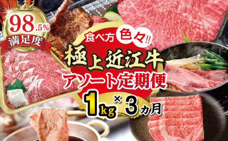 近江牛 定期便 3か月 3回 期間限定 1kg アソート ZZ50W 近江牛定期便 牛肉