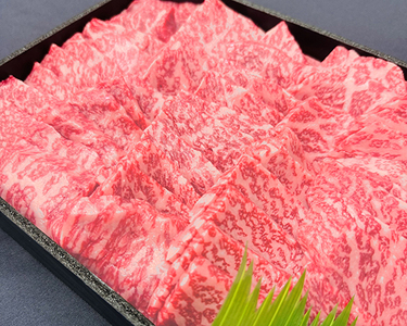 近江牛 定期便 3か月 3回 期間限定 1kg アソート ZZ50W 近江牛定期便 牛肉