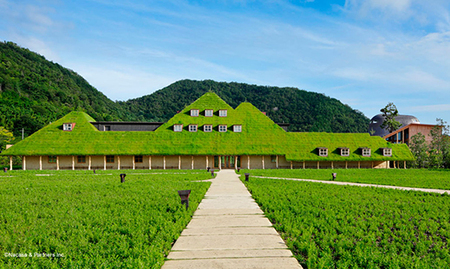 【たねや】栗饅頭 5個 斗升最中 5個 カステラ 2本 【FT11W】 和菓子