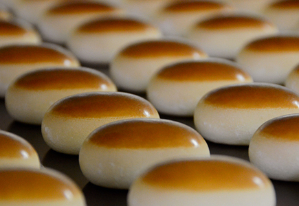 【たねや】 栗饅頭 10個 斗升最中 10個【FT13W】 和菓子