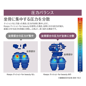 nishikawa / 西川 Keeps クッション for beauty グレー【P391W】　キープス クッション