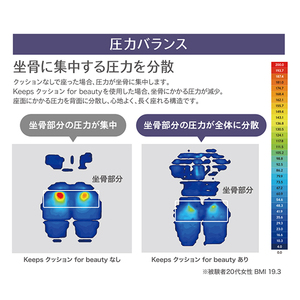 nishikawa / 西川 Keeps クッション for beauty ネイビー【P392W】 キープス クッション