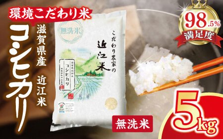 【7年産】 近江米 コシヒカリ 無洗米 5kg 【BN14W】近江米 環境こだわり米 滋賀県産 こしひかり 無洗米 