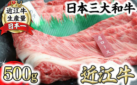 近江牛霜降り・赤身すき焼き用（肩ロース・ウデ）【500g（肩ロース250ｇ、ウデ250ｇ）】【CO05SM】